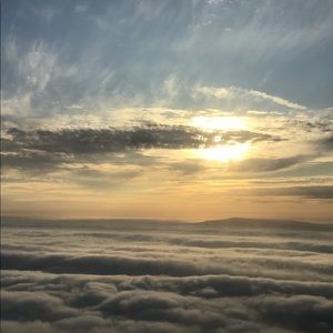 Meet your Posher, Kenny